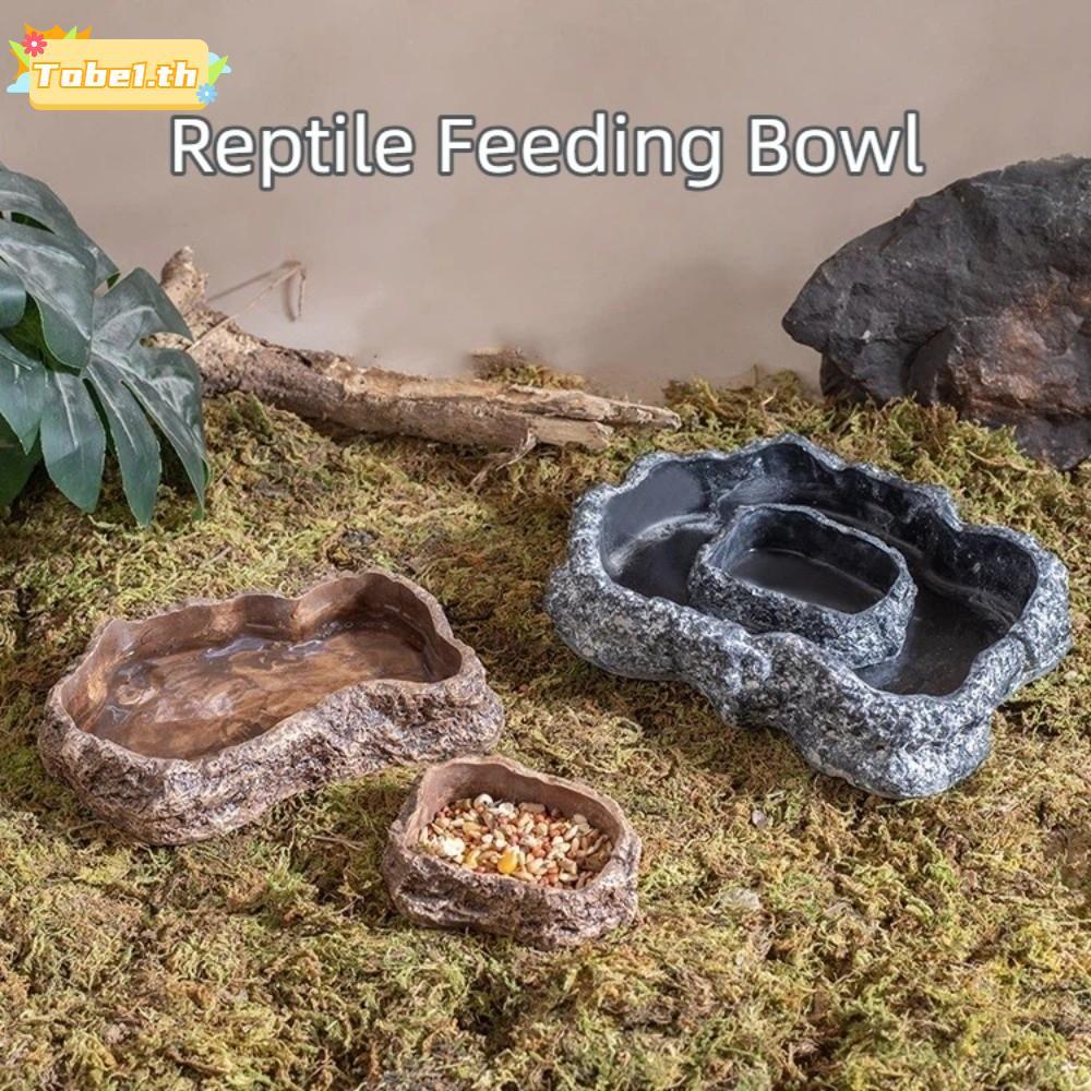 TOBE1 สัตว์เลื้อยคลานชามอาหาร, Habitat Decor ฐานกันลื่น Lizard อาหารจาน, หลายขนาดจําลอง Rock สัตว์เลี้ยงสัตว์เลื้อยคลาน Feeder อุปกรณ์สําหรับเลี้ยง
