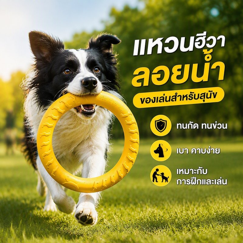 ของเล่นสุนัข EVA จานร่อนวงแหวน ลอยน้ำ ของเล่นกัดเคี้ยว ฝึกคาบ รับของ ดึง Tug สีเหลือง