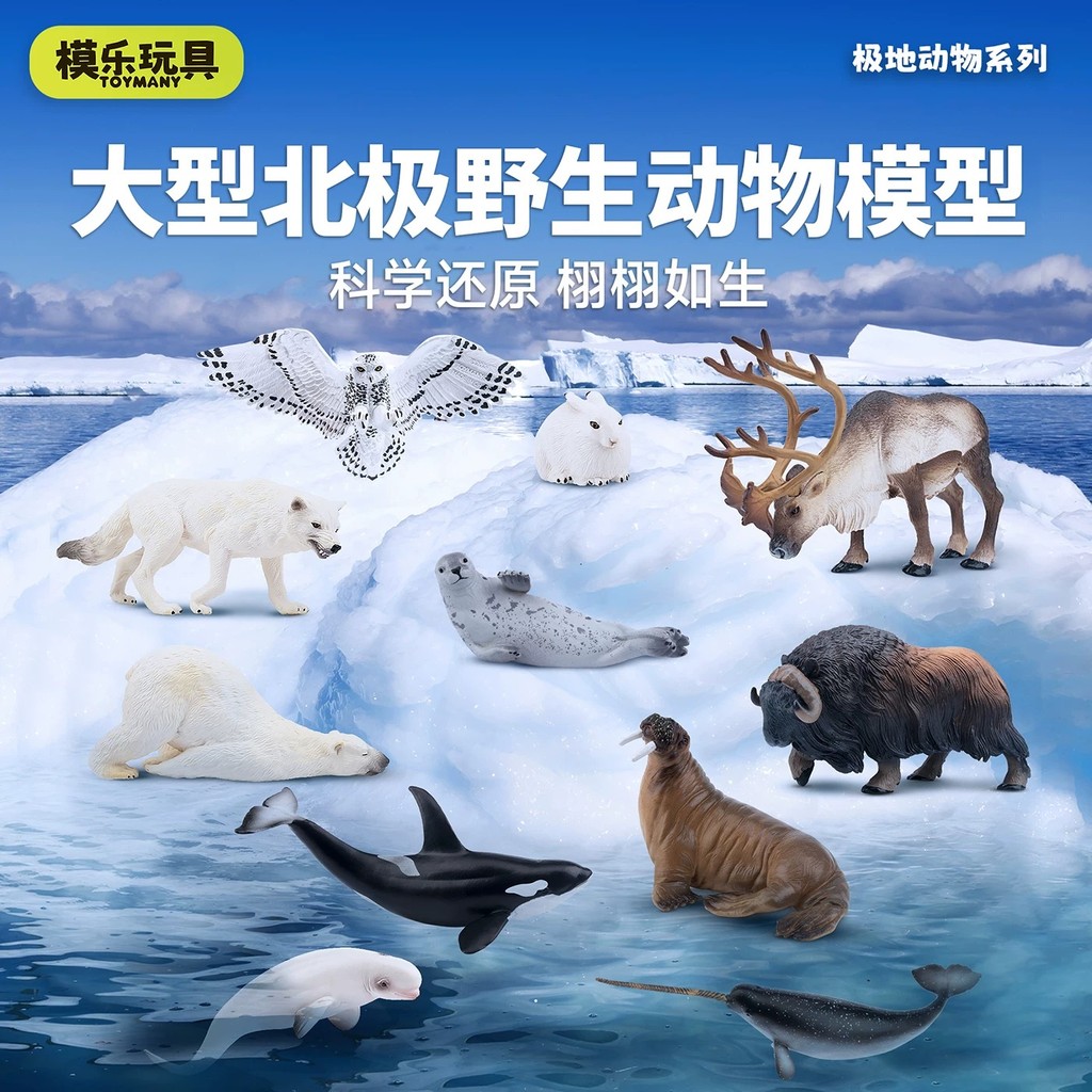 ของเล่นตุ่น TOYMA จําลองสัตว์ทะเลรุ่น Polar Ocean Polar Bear Polar Fox ของเล่นเด็ก