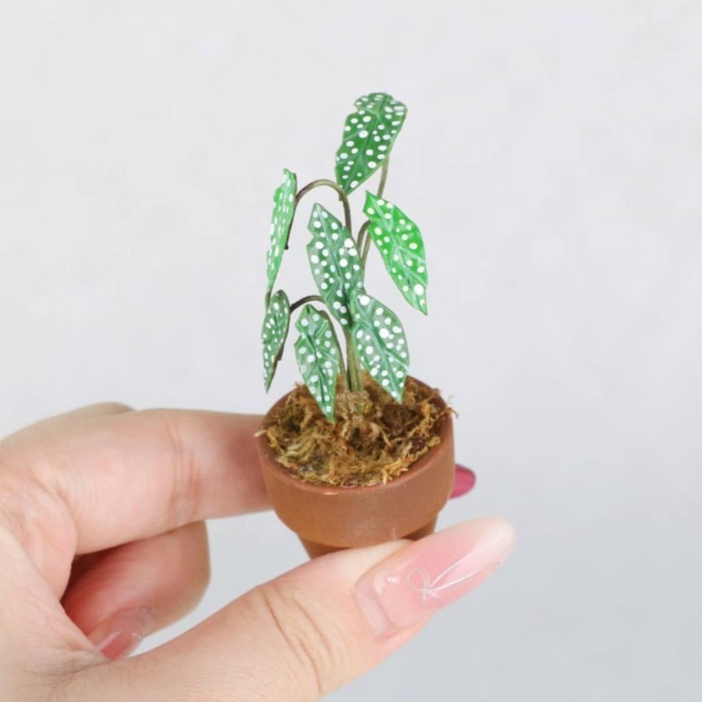 [txejgi] 1:12 Scale Plant Ornament เหมือนจริงใบ 1:12 Scale Plant เนื้อสมจริง