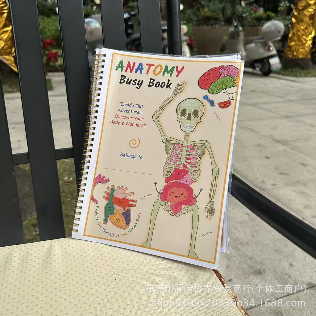 现货速发Human Anatomy Busy Book人体解学活书儿童启8190026