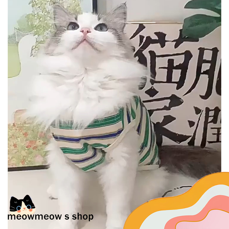STOCK เสื้อแมวลายทางสุดน่ารัก 🐱 เสื้อแมวฤดูร้อน เนื้อผ้าเบาสบาย ระบายอากาศดี ลายทาง ใส่แล้วไม่ร้อน ดูแลง่าย ทนทาน