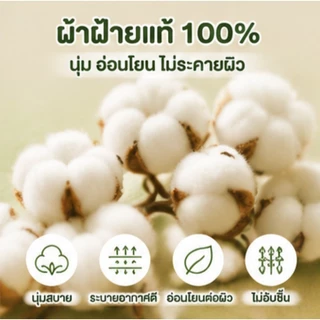 กางเกงในเด็กชาย เซ็ต 4 ตัว ลาย Crayon Shinchan น่ารัก ผ้านุ่มใส่สบาย 100% ระบายอากาศดีไม่อับชื้นยืดหยุ่นสูงไม่ระคายเคือง