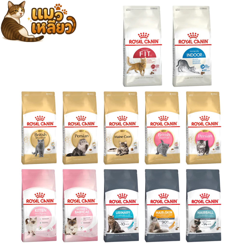 Royal Canin โรยัล คานิน อาหารเม็ดแมว ลูกแมว แมวโต รวมสูตร เม็ดแมว ขนาด ยกกระสอบ 10 kg