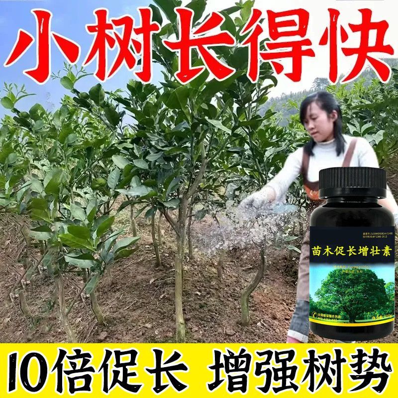 ต้นไม้ auxin เร็วเร็วไม้ผลเติบโต fastdkur558. สัตว์เลี้ยง Boss Fort ของฉัน20260704