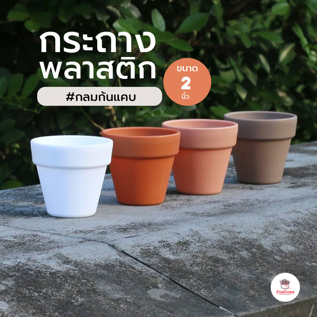 กระถาง 2 นิ้ว [ กลมก้นแคบ ] กระถางพลาสติก แคคตัส กระบองเพชร ไม้อวบน้ำ Cactus&Succulent