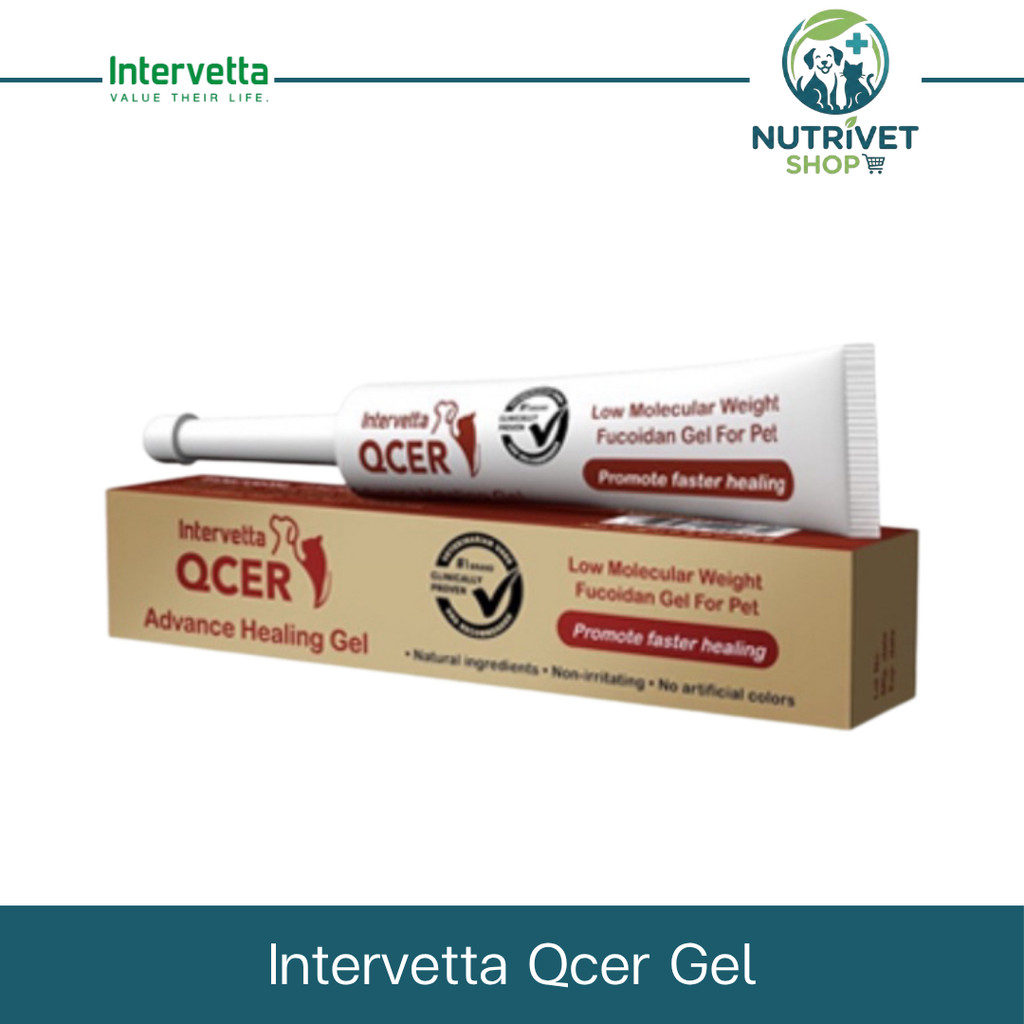 |เจล| Qcer Advance Healing gel |15g| เจลดูแลแผล ลดแบคทีเรีย |หมดอายุ 08/26|