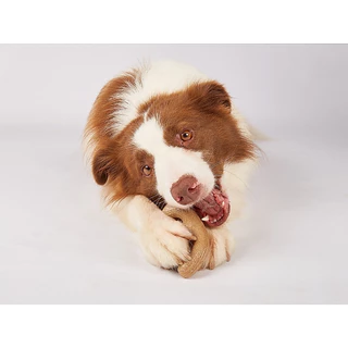 Fofos - Wooden Stix Dog Toy ของเล่นหมา ไม้ขัดฟัน แก้เครียด ทำจากไม้ ใช้กัด แทะ