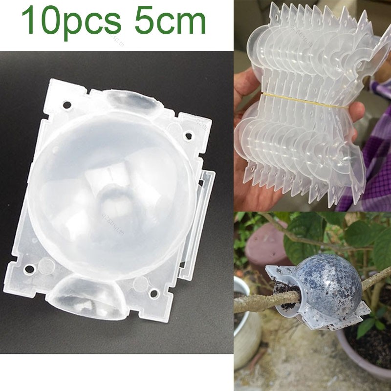 10pcs พืช Tree Rooting Ball 5 ซม. Rooter กล่องพลาสติกดอกไม้ Grafting TH28B