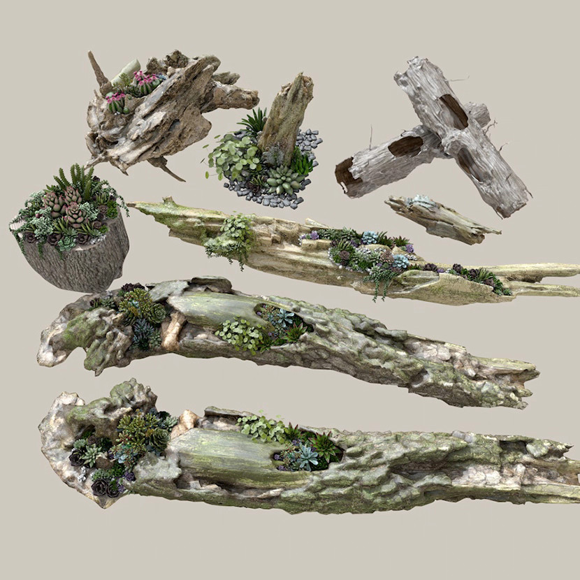 Creative Landscape Modeling Succulent Plant Stump Decay Wood Moss SU รุ่น C4D วัสดุ FBX พร้อมสติกเกอ