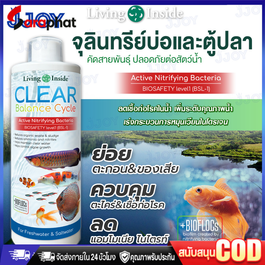 จุลินทรีย์ แบคทีเรีย บ่อปลา ตู้ปลา น้ำใส ลดตะไคร่ ย่อยของเสีย ลดกลิ่น Living Inside