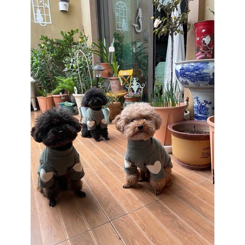 รูปภาพ 5