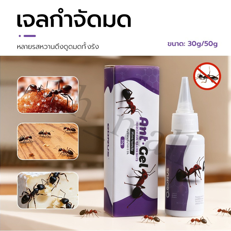 เจลกำจัดมด ยากำจัดมด Antiant แอนติแอนท์ เหยื่อกำจัดมด เจลล่อมด หยดเดียวตายยกรัง กำจัดมด ยากำจัดมดยกรัง 50g/30g เพิ่มปริม