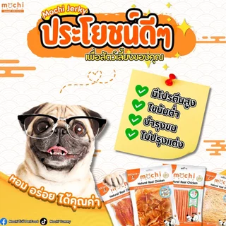 [ถุงใหญ่] Mochi Jerky โมชิ ขนมสุนัข ขนมแมว ปลาเส้น เนื้อไก่อบแห้ง ไม่เติมเกลือ
