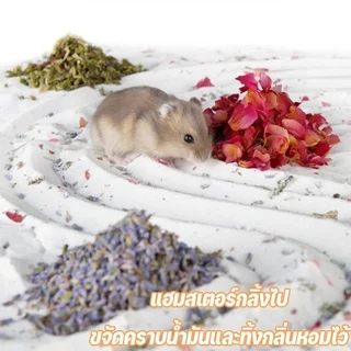 ทรายอาบน้ําหนูแฮมสเตอร์ เม็ดละเอียด ฝุ่นต่ํา น้ํามัน ดูดซับกลิ่น ควบคุม กลิ่นชาไม้ไผ่ สัตว์เลี้ยงขนาดเล็ก