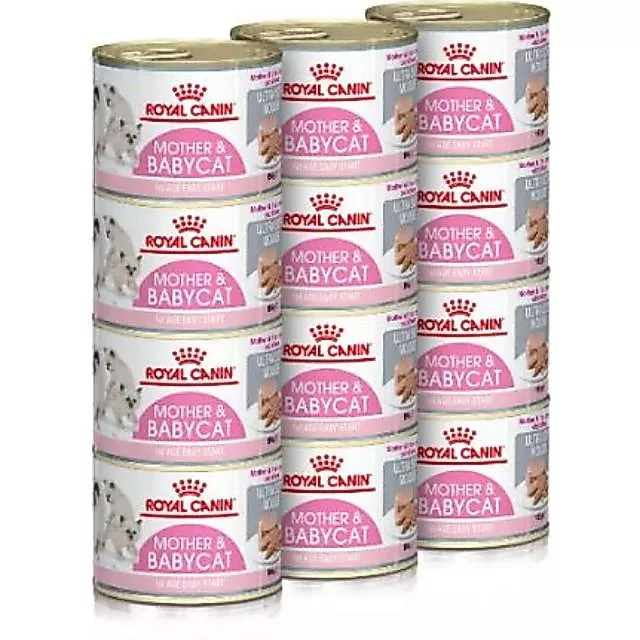 [เฉพาะส่งด่วน] Royal Canin BABYCAT CAN กระป๋อง 1 โหล สินค้าใหม่(12กระป๋อง) thumbnail 3