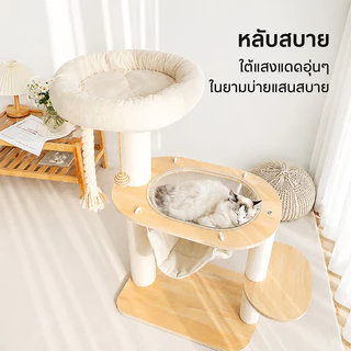 คอนโดแมวไม้ คอนโดแมวใหญ่ โครงปีนแมว คอนโดต้นไม้แมว ตัวคอนโดแมวใหญ่ condoแมว แคปซูลอวกาศ ไม้แมวคอนโดแมว คอนโดแมว