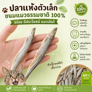 😻พร้อมส่ง🐟ปลาไข่แมว ขนมแมว อบแห้ง ปลาไข่เต็มตัว สุขภาพดี ปลอดภัย ธรรมชาติ100%