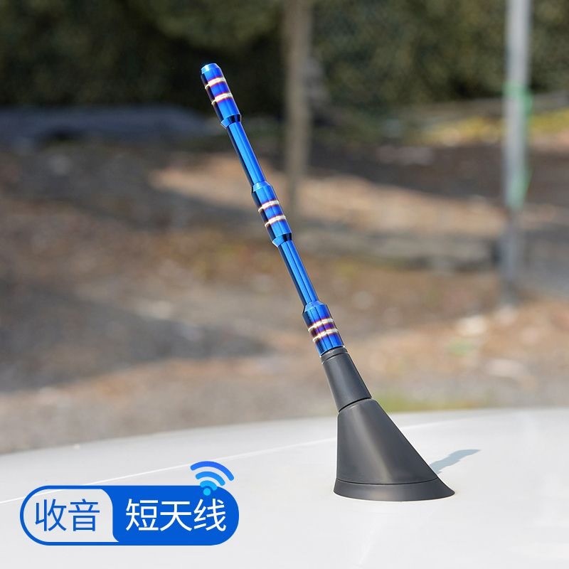 เหมาะสําหรับ North Auto EV200 EV300 EV160 E150 E150EV Sambo D20 Shark Fin Antenna Long Rod