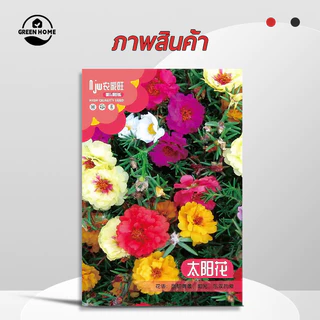 แพรเซี่ยงไฮ้🎯เมล็ดพันธุ์แพรเซี่ยงไฮ้ 10000เมล็ด🎈งอกง่าย🌱ดอกซ้อน🍀ดอกดกสวยมาก