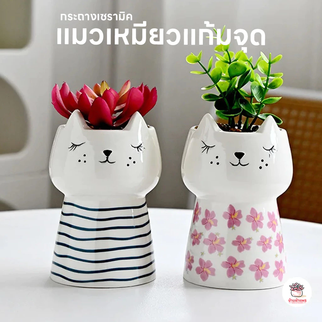 กระถางเซรามิค แมวเหมียวแก้มจุด กระถางต้นไม้ แคคตัส กระบองเพชร ไม้อวบน้ำ Cactus&Succulent