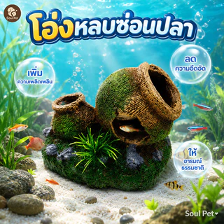 แต่งอ่างเลี้ยงปลา อุโมงค์ปลา บ้านปลาดินเผา เรซิ่นตกแต่งตู้ปลา ถ้ำซ่อนตัว ถังไวน์จําลอง อุโมงค์ปลา