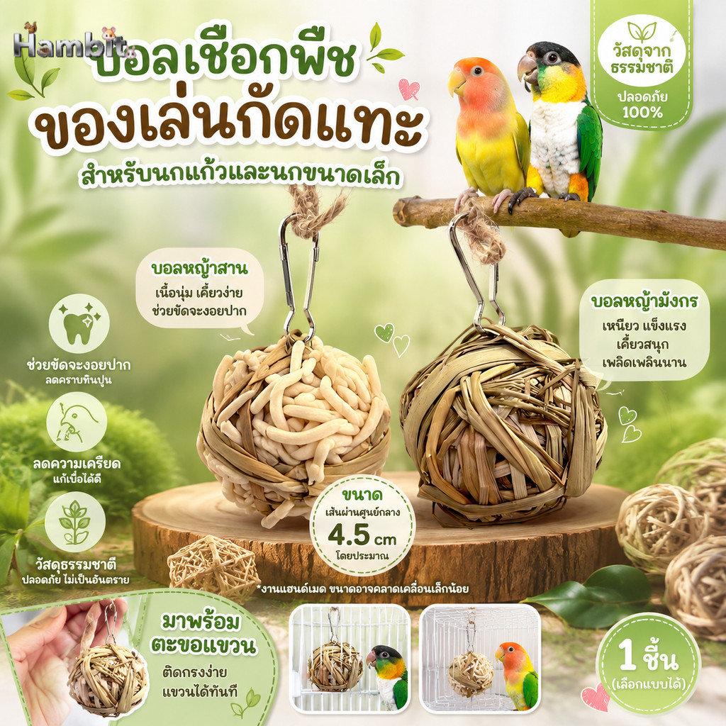 Hambit. บอลเชือกพืช ของเล่นกัดแทะสำหรับนก (นกแก้วและนกขนาดเล็ก) ของเล่นนกธรรมชาติ ปลอดภัย 100%