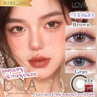คอนแทคเลนส์เกาหลี 🇰🇷 🕊 Dna brown gray 🕊 (ขนาดโตกลาง) ใส่กลางวันได้ สีไม่ดุ lovelyplus