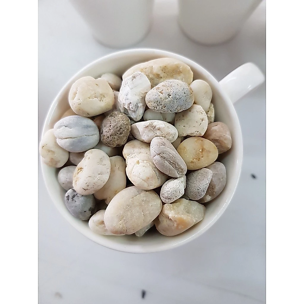 หินโรยหน้ากระถาง 500กรัม ถูกที่สุด หินแคคตัส  หินตู้ปลา หินจัดตู้ปลา หินตกแต่งตู้ปลา สวยมาก thumbnail 6