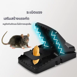 กับดักหนูแรงสูงแบบสปริงคู่วัสดุที่หนาขึ้นด้วยความยืดหยุ่นสูงล็อคเมาส์ที่แนบมาเหมาะสําหรับใช้มุมและท่อ