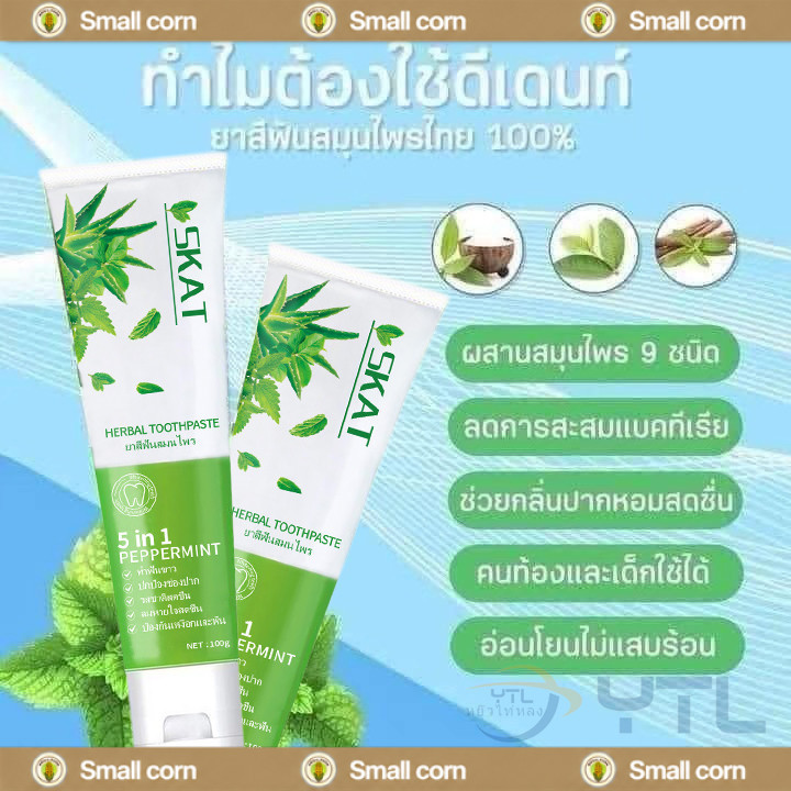 YTL 🍃ยาสีฟัน ยาสีฟันสมุนไพร 9 ชนิด ลดกลิ่นปาก มีฟลูออไรด์ 1500ppm. สูตรเปปเปอร์มิ้นต์ ป้องกันฟันผุ ขนาด 100กรัม