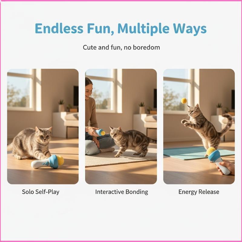 Luckyei Electric Cat Teaser Launcher Retractable Rope Interactive ของเล่นบรรเทาความเบื่อหน่ายสําหรับ