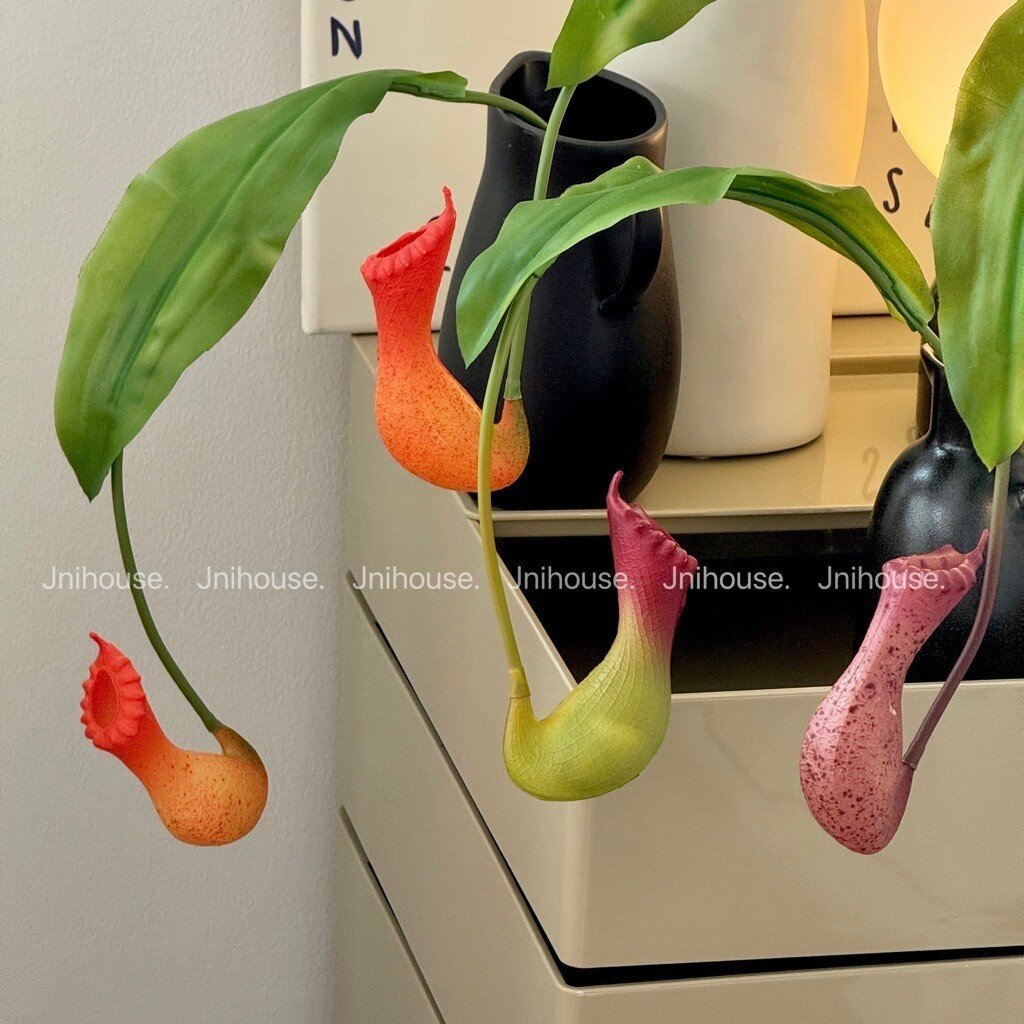 [พร้อมส่ง] Jnihouse : ดอกหม้อข้าวหม้อแกงลิงประดิษฐ์ (Pitcher Plant Artificial)