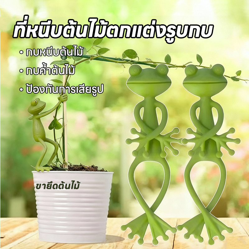 ตกแต่งกระถาง อุปกรณ์พยุงพืช รูปร่างกบน่ารัก น่ารักขอบถ้วยพืชคงพันธมิตรการขยายพันธุ์พืช แก้ไขกิ่งไม้