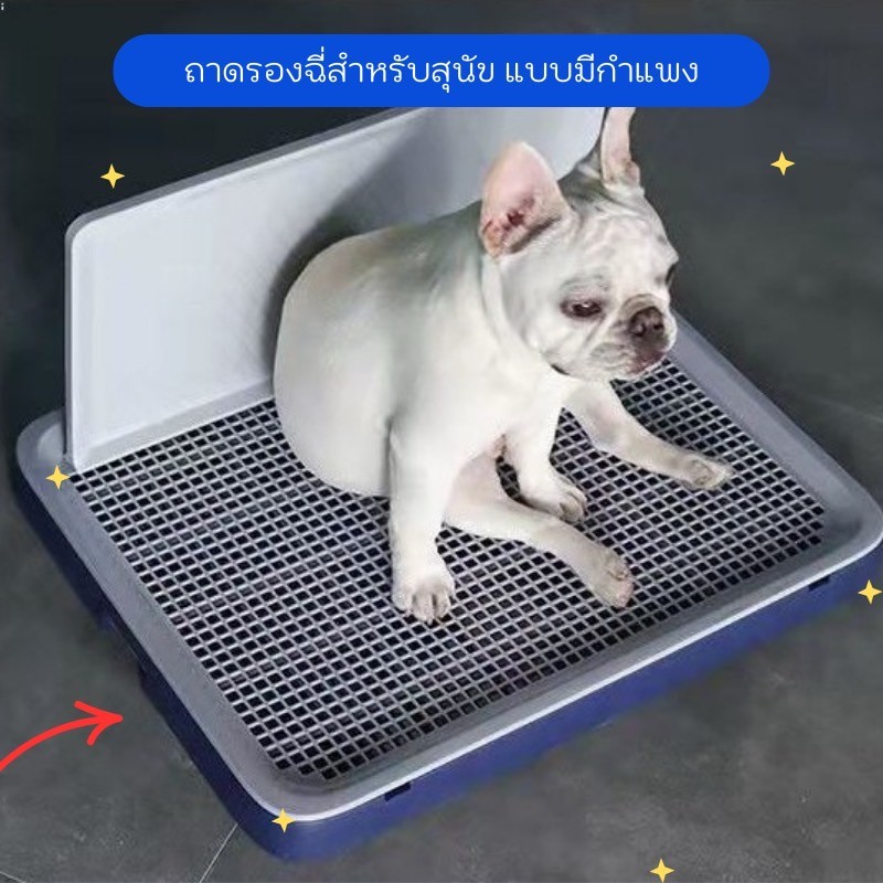 แผ่นรองฉี่สุนัข 2 ชั้น ห้องน้ำสุนัขขนาดใหญ่ ถาดรองฉี่ ใช้งานง่าย ทำความสะอาดสะดวก ราคาประหยัด PE0004