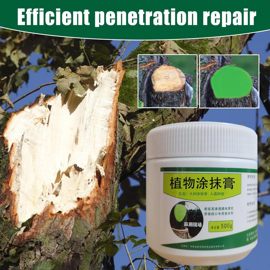 Professional Tree Wound Sealer 500g Grafting Repair Paste สําหรับพืชบอนไซ Trunk Bark ตัด Dressing Gardening Care bytumth