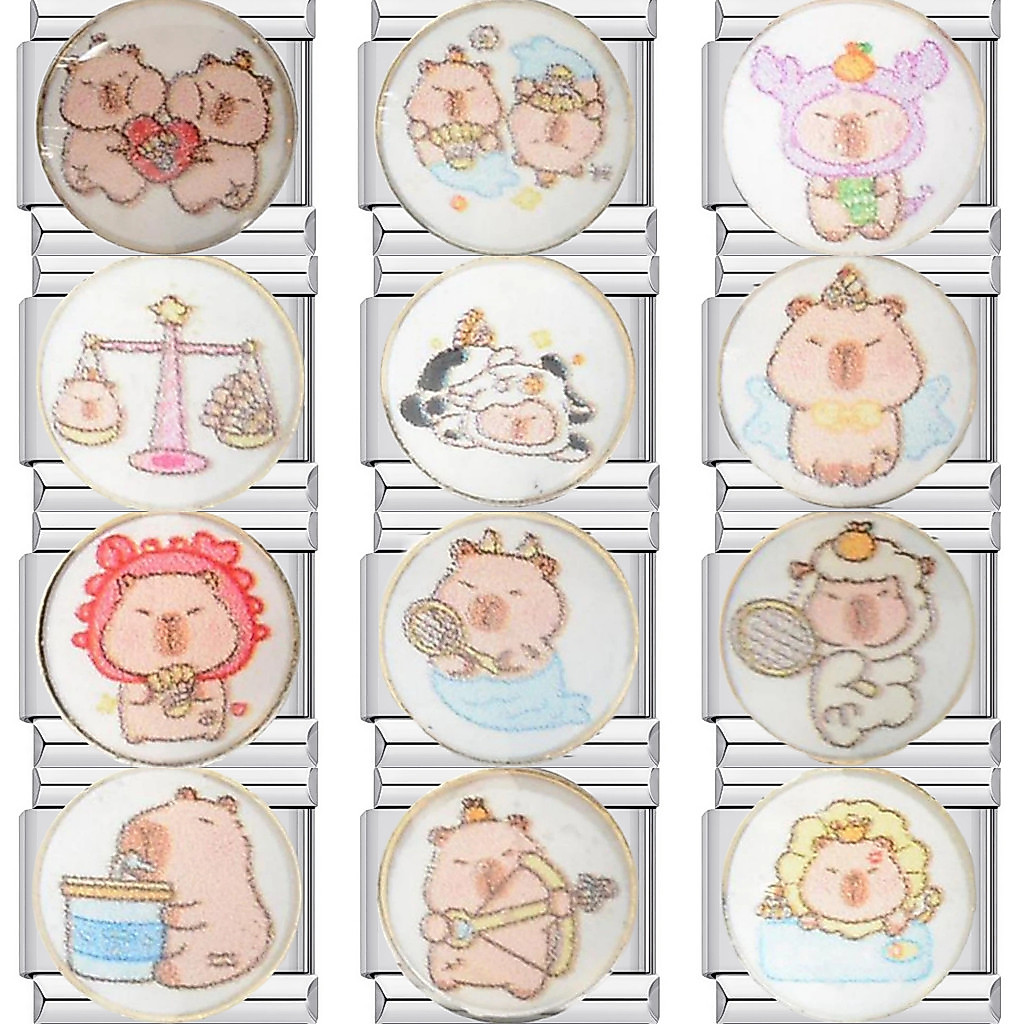 ยอดนิยมราศีคาปิบาระกลุ่มดาวอิตาลีเสน่ห์สร้อยข้อมือลิงค์พอดี9มิลลิเมตรสร้อยข้อมือสแตนเลส ทําเอง เครื่องประดับทํา