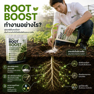 BioFix Root Boost ไมคอร์ไรซ่า 100 กรัม ช่วยป้องกันโรครากเน่าและเสริมการดูดซึมธาตุอาหาร