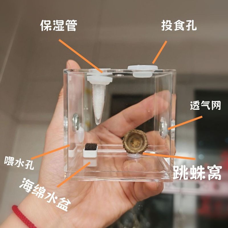 跳蛛饲养盒佛跳蜘蛛高透明造景盒饲养箱蝈蝈蛐蛐蛉虫鸣虫生态盒7.29 กรงแมงมุม, ตู้เลี้ยงแมงมุมโปร่งใสสูงสำหรับแมงมุม, ตั๊กแตน, จิ้งหรี