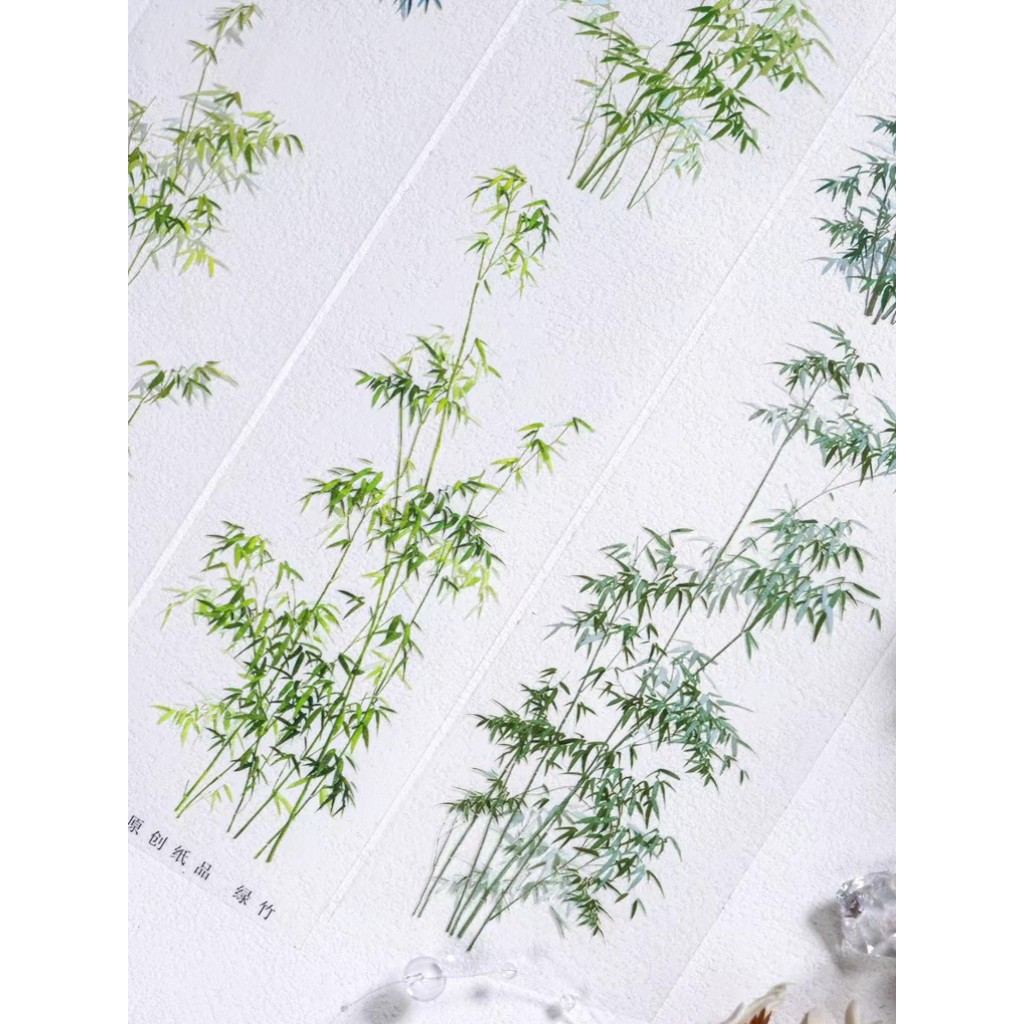 ZERO Original Paper Products Green Bamboo Show Bamboo Ink Bamboo All-Match Bamboo Leaf Elements Guka