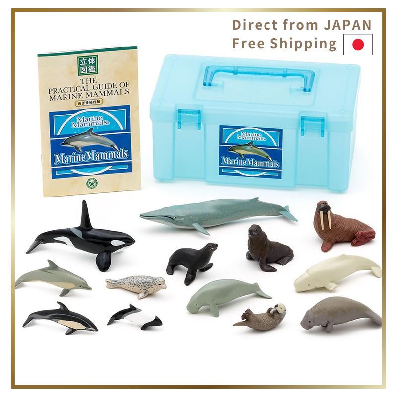 Calorata 3D Encyclopedia Realistic Figure Box