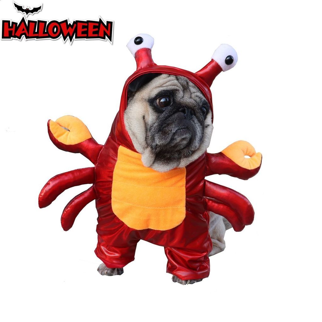 宠物万圣节服装 Crabrique 衣服龙立女秋装衣裙子骨直立装狗衣服Pet Halloween Transformation Dress Crab Clothes Lobster Station พ