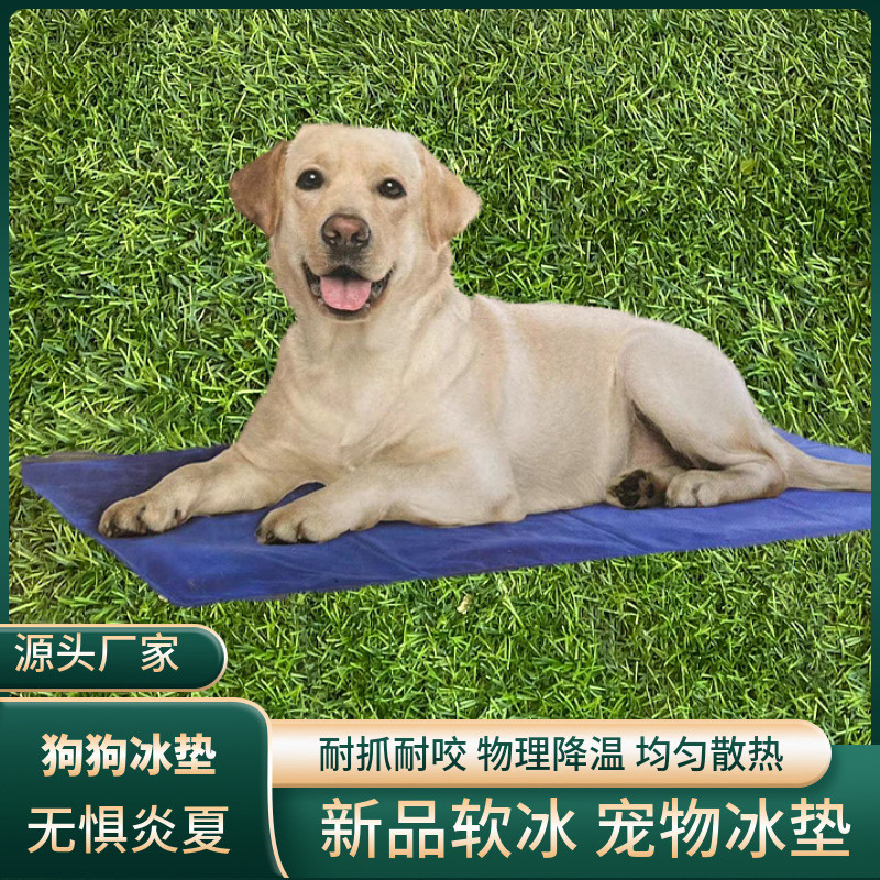 New Summer Dog Cooling Mat, Cat Pet Sleeping Pad, Cooling Device, Cool Pet Mat