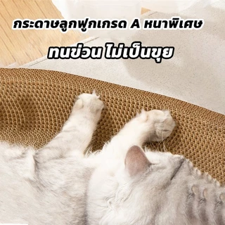 【1 แถม 1】อ่างลับเล็บแมว 2in1 ทรงไข่กลม ลับเล็บ+เป็นที่นอนในตัว ทนทาน กันรอยขน น้องแมวชอบ