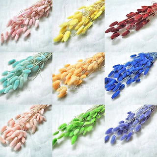 พร้อมส่ง!! ถูกมาก!!! หญ้าหางกระต่ายสีธรรมชาติ มีให้เลือก 2 ขนาด ดอกไม้แห้งเก็บได้นานมากกว่า 2 ปี