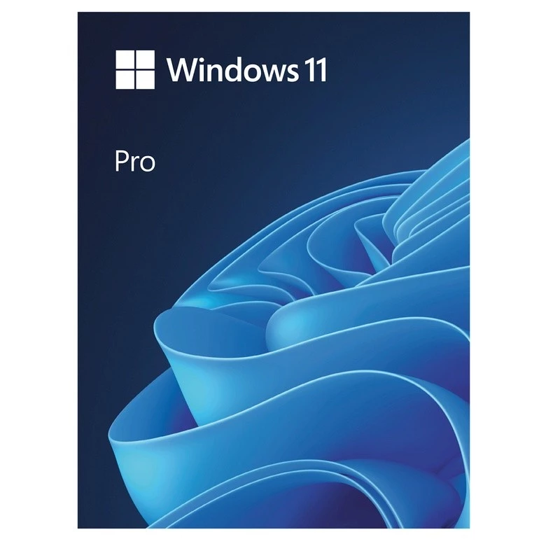 Microsoft Windows 11 Pro FPP 64-bit English USB HAV-00163 thumbnail 4