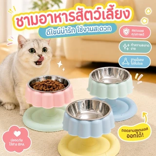 ชามอาหารแมว ชามอาหารแมวยกสูงกันมด จานให้อาหาร 2ชั้น เพิ่มความสูง รูปร่างเค้ก ทําความสะอาดง่าย