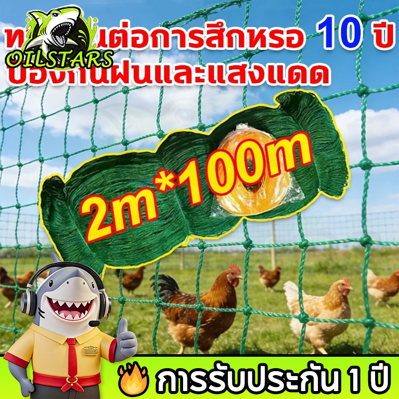 🔥 OilStars 100ม ตาข่ายกันนก ตาข่ายล้อมไก่สูง 2 เมตร ตาข่ายกันนก ตาข่ายไนล่อน อวนล้อมไก่ ตาข่ายอวน ตะข่าย ตาข่ายพลาสติก