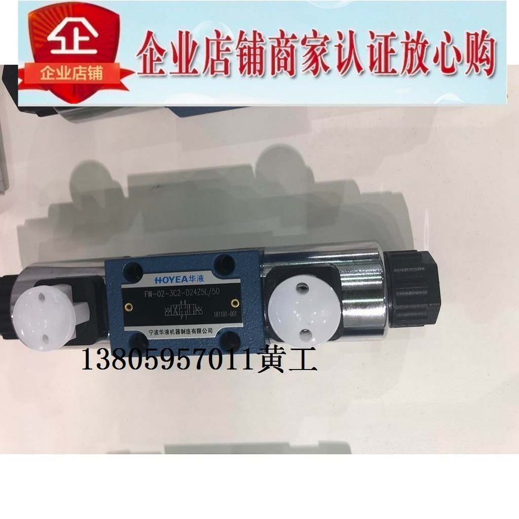 HOYEA วาล์วตรวจสอบแม่เหล็กไฟฟ้า FW-03 FW-02-3C2-D24Z5L/50 Z6 A220 A110 3C6