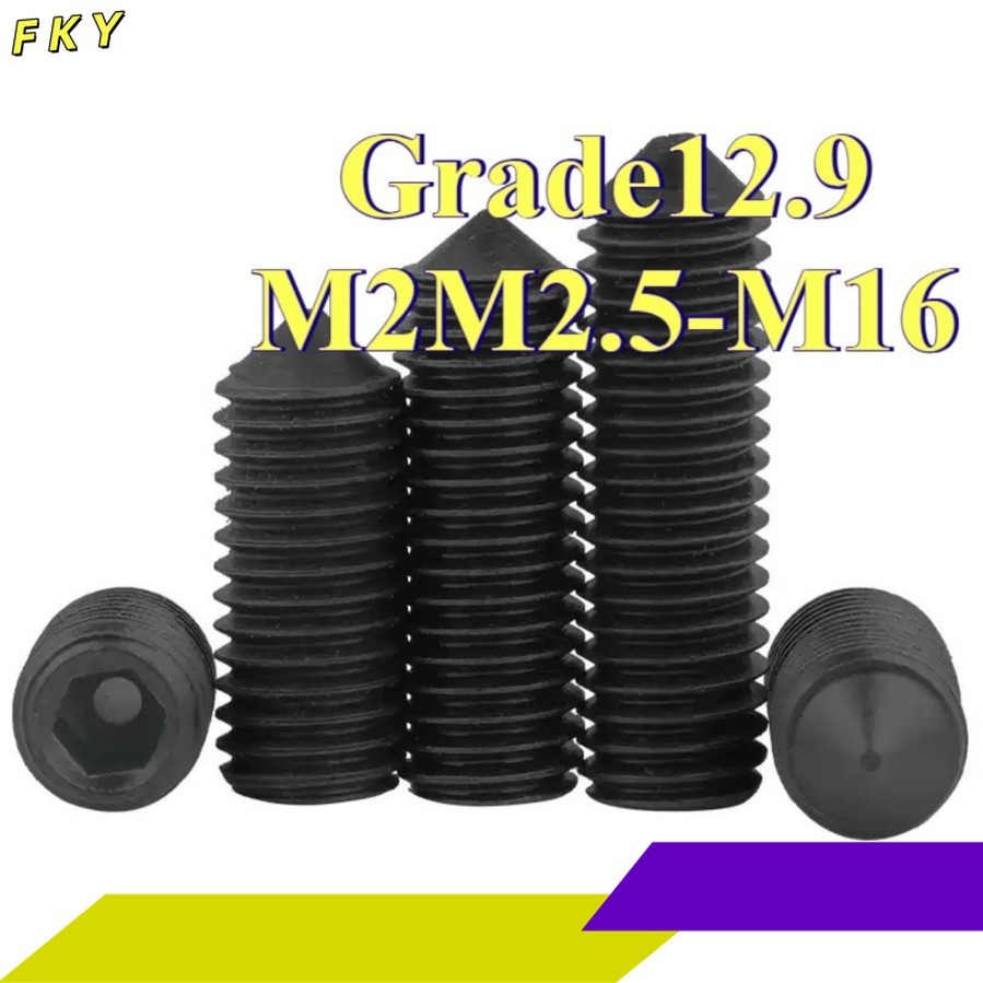 สกรู ตัวหนอน หกเหลี่ยม ปลายแหลม เหล็กกล้าคาร์บอน12.9ระดับ เกลียวมิล หยาบ / Hex Socket Set Screw w/ C